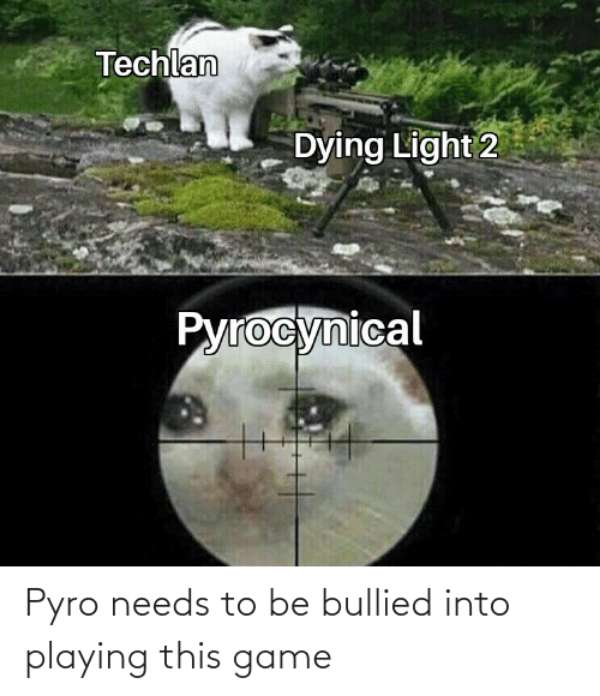 Dying Light Meme 14