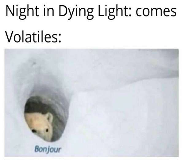 Dying Light Meme 19